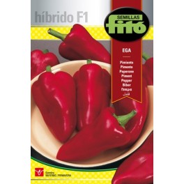 Llavor pebrot Ega (híbrida) (tipus piquillo)