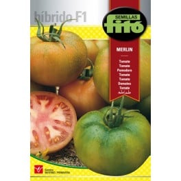 Graine de Tomate Merlin F1 (hybride).