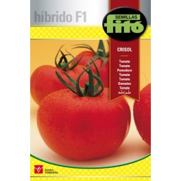 Graine de Tomate Crisol F1 (hybride).