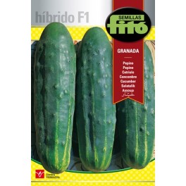 Semente de pepino Granada F1 (híbrido)