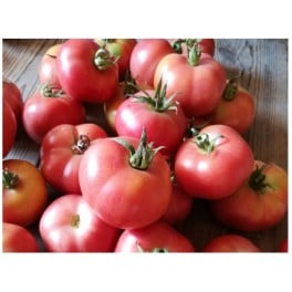 Graines de Tomate Poire Delta