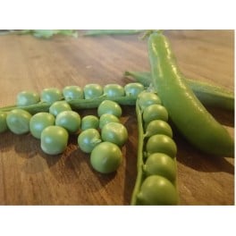 Llavor fava del país (ecològic)