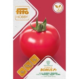 Graine tomate Manacor F1 (hybride) (1 000 graines)