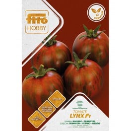 Graine tomate Sardo F1 (hybride) (1 000 graines)