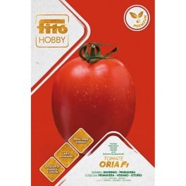 Semilla tomate Oria F1 (híbrida) (1.000 semillas)