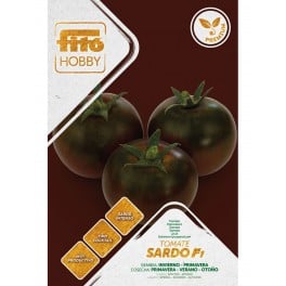 Graine tomate Sardo F1 (hybride) (1 000 graines)