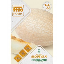 Semilla Melón Alqueva F1 (híbrida)