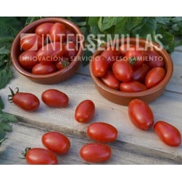 Semilla tomate Dolcisio F1 (híbrida) (cherry alargado) (1.000 semillas)