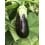 Graine d'aubergine Belona F1 (hybride) (mi-long)  (1.000 Graine)