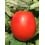 Graine de tomate Genuino F1 (hybride) (Roma grand) (1.000 graines)