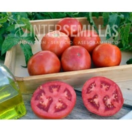 Semente de tomate Yechar F1 (híbrida) (Beef grosso) (1.000 semillas)