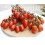 Graine de tomate Euler F1 (hybride) (cherry allongé) (1.000 graines)