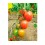 Graine de tomate Ferrero F1 (hybride) (poire) (1.000 graines)