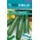 Graine courgettes Diamant F1 (hybride) (vert moyen)  (1.000 Graine)