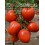 Graine de tomate Meyity F1 (hybride) (poire) (1.000 graines)