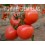 Graine de tomate Rosende F1 (hybride) (rose) (1.000 graines)