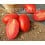 Graine de tomate Decio F1 (hybride) (industrie tout pulpe) (1.000 graines)