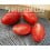 Graine de tomate Fastred F1 (hybride) (industrie tout pulpe) (1.000 graines)