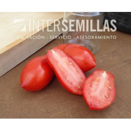 Semilla tomate Gades F1 (híbrida) (todo carne indústria) (1.000 semillas)