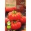 Graine de Tomate Marmande (biologique) (100 gr)