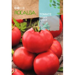 Graine de tomate ACE 55 VF