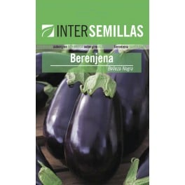 Graine d'aubergine beauté noire (100 gr)