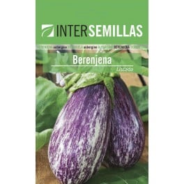 Graine d'aubergine listada de Gandia (100 gr)