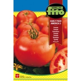 Graine de Tomates America Early Pack.