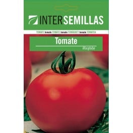 Graine de tomate Marglobe (100 gr)