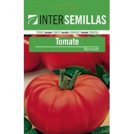 Graine de tomate Marmande (100 gr)