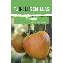 Semilla tomate Valenciano tipo Masclet (100 gr)