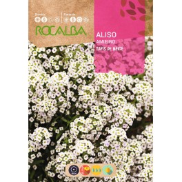 Graines de Alyssum Tapis de Neige (blanc)