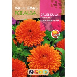 Graines de calendula Prince d'Orange doubles