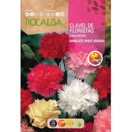 Graines de œillets pour fleuristes bouquet double assorti