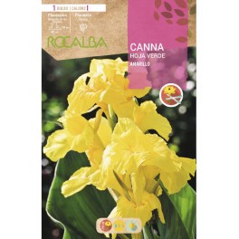 Bulb de canna fulla marró a granel Rocalba (unitat)