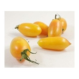 Graines de tomate cherry longue jaune (biologique)