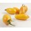 Graines de tomate cherry longue jaune (biologique)