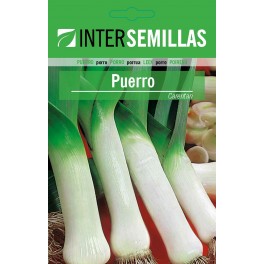 Semilla Puerro Carentan