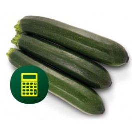 Graine de Courgette Brillante F1 (hybride) (1.000 graine)