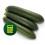 Graine de Courgette Brillante F1 (hybride) (1.000 graine)