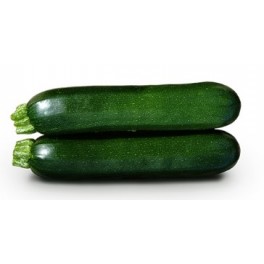 Graine de Courgette Tiziano F1 (hybride) (1.000 graine)