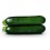 Graine de Courgette Tiziano F1 (hybride) (1.000 graine)