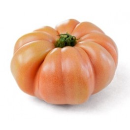 Graine tomate Rosamei F1 (hybride) (1.000 graine)