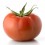 Graine tomate Faladi F1 (hybride) (1.000 graine)