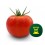 Graine tomate Duratom F1 (hybride) (1.000 graine)