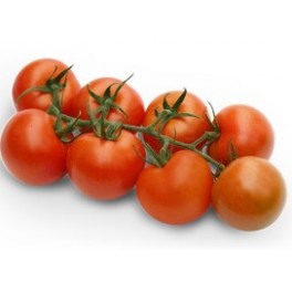 Semilla tomate Bigram F1 (híbrida) (1.000 semillas)