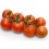 Graine tomate Bigram F1 (hybride) (1.000 graine)