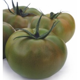 Graine tomate Anairis F1 (hybride) (1 000 graines)