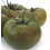 Graine tomate Anairis F1 (hybride) (1 000 graines)