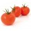 Graine tomate Roque F1 (hybride) (1 000 graines)